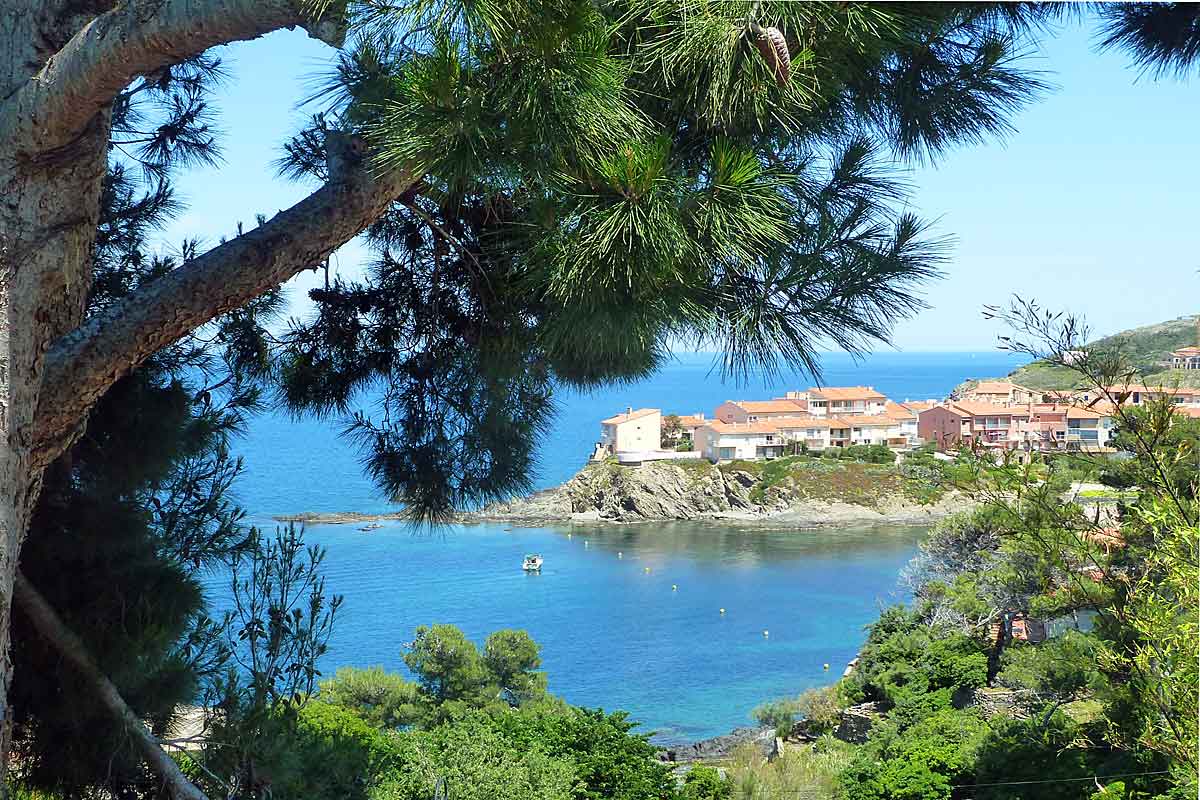 Vacation Villa with pool in Collioure 