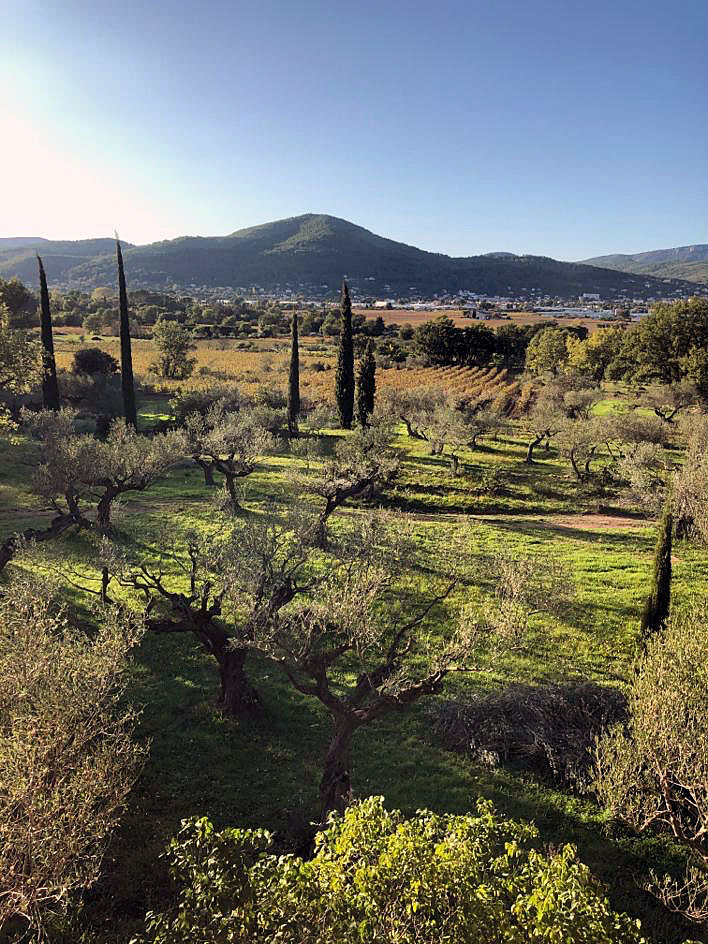 Villa south of france