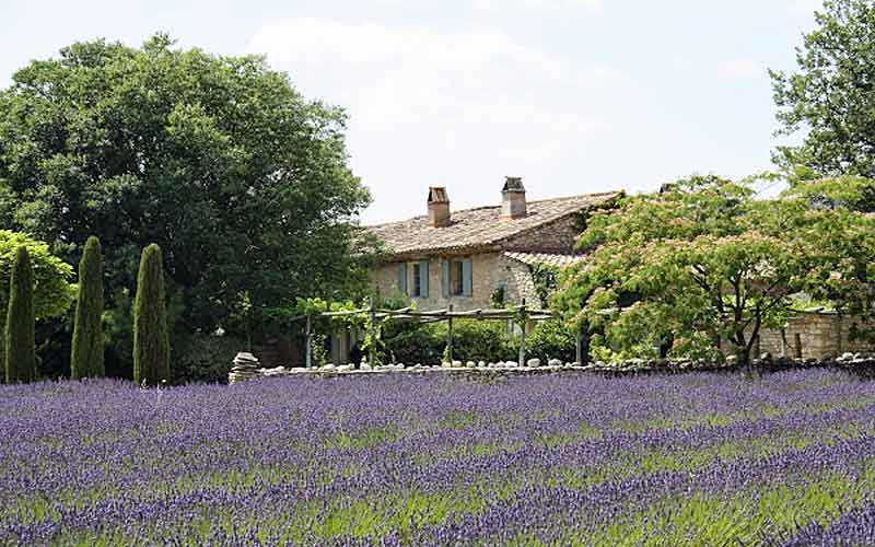 Luxury Villa for Rent in Luberon