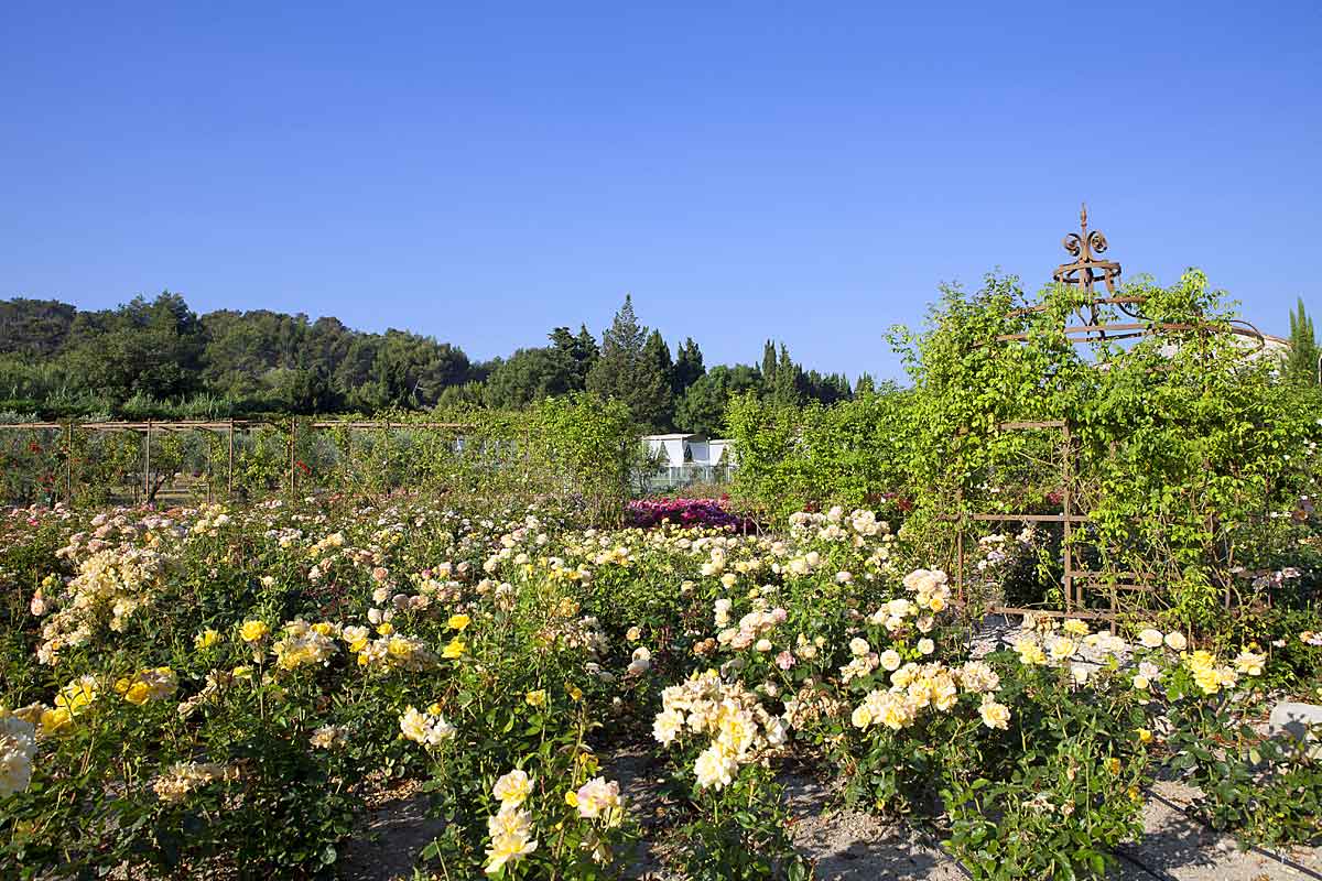 Domaine-Saint-Remy-de-Provence