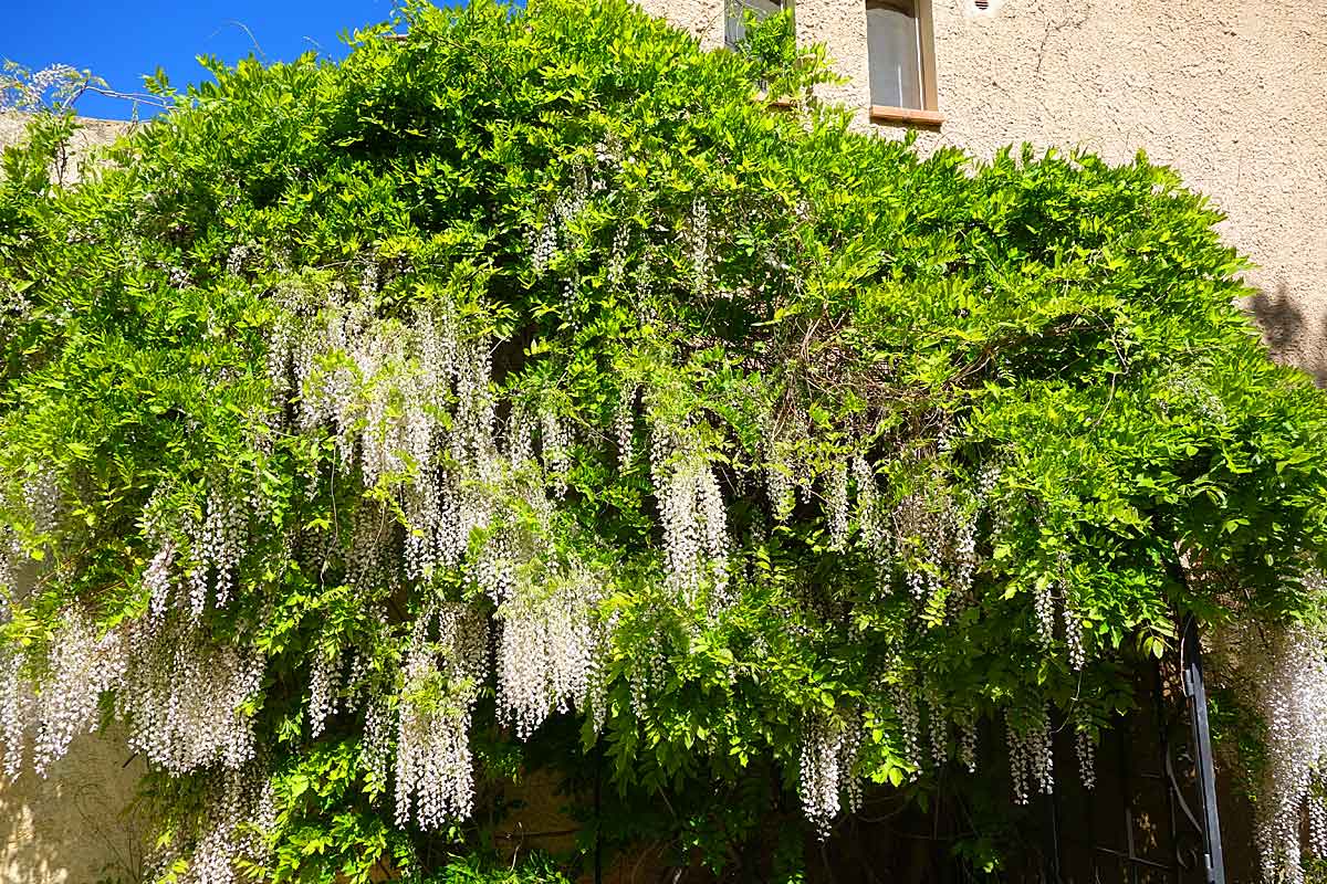 Aix-en-Provence-villa-rental 