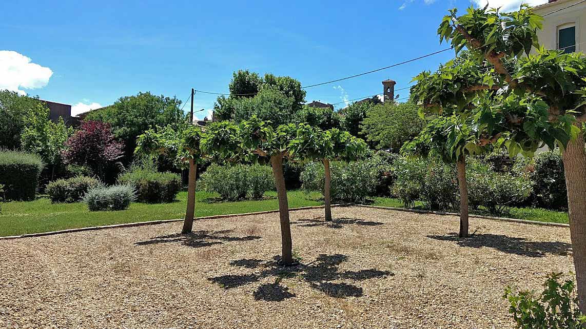 Minervois villa rental with pool