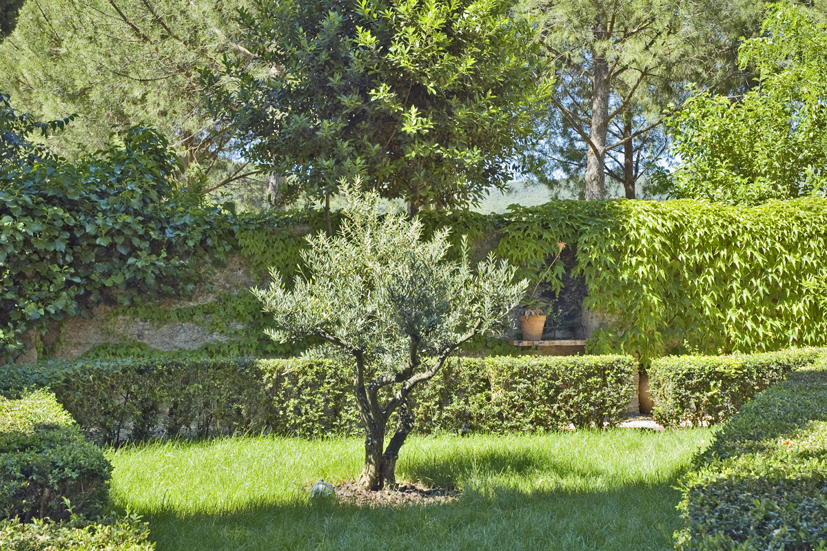 Roquebrun House with Pool