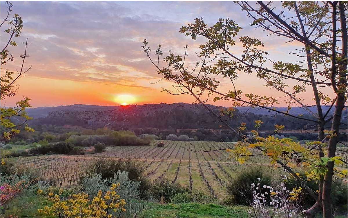 Languedoc holiday villa