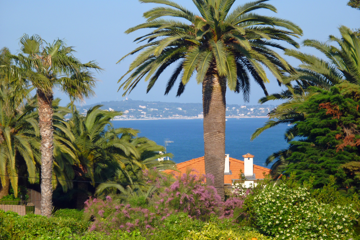Luxury Villa Cannes