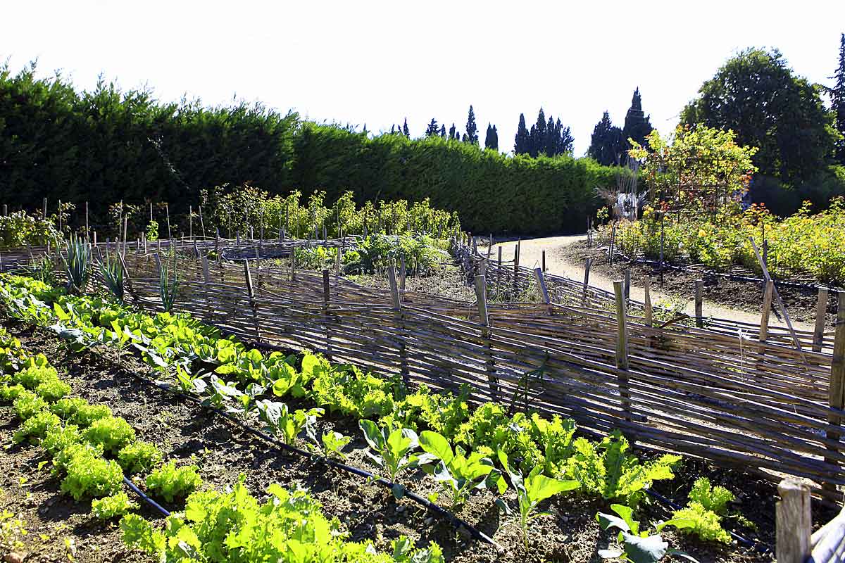 Domaine-Saint-Remy-de-Provence