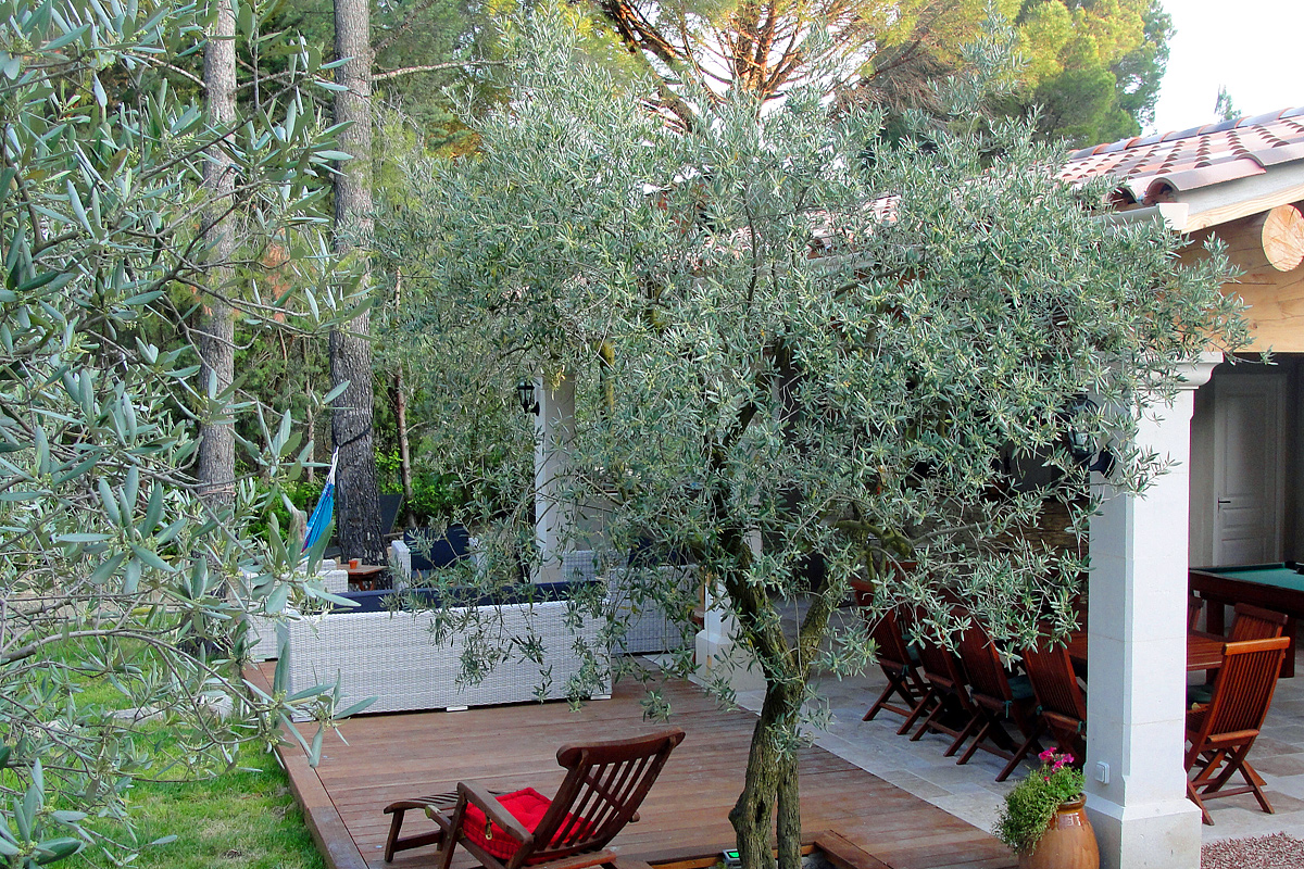 Provencal Gite for Rent