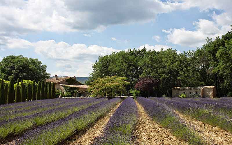 Luxury Villa Rental in Luberon