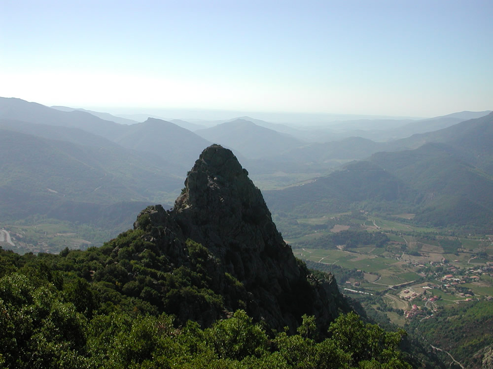 Regional Picture - Languedoc