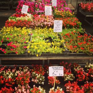 Beziers Beziers flower market